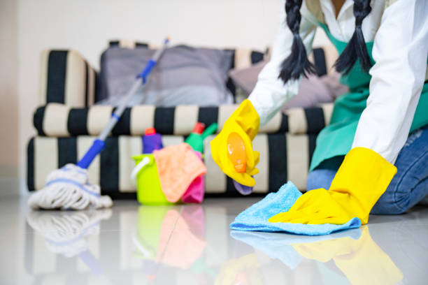 Carpet Care | Blue Ocean Ltd